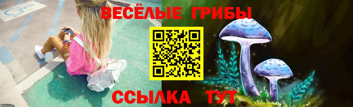 Южноуральск  Псилоцибиновые грибы Psilocybine cubensis  Галлюциногенные грибы ЛСД  Вход с VPN 